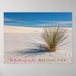 Print, Value Poster Paper (Matte)