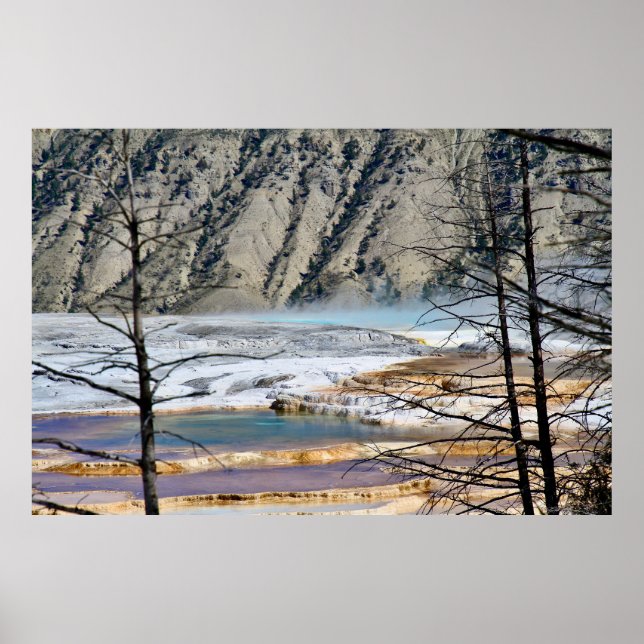 Print, Value Poster Paper (Matte) (Front)