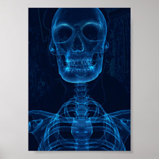 Print, Value Poster Paper (Matte)