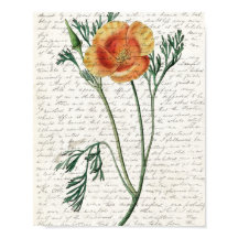 Print, Value Poster Paper (Matte)