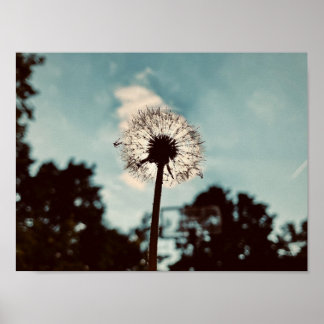 Print, Value Poster Paper (Matte)