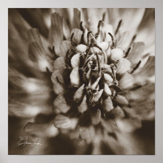 Print, Value Poster Paper (Matte)