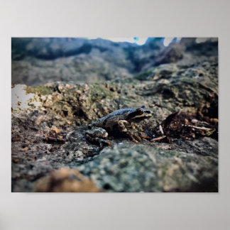 Print, Value Poster Paper (Matte)