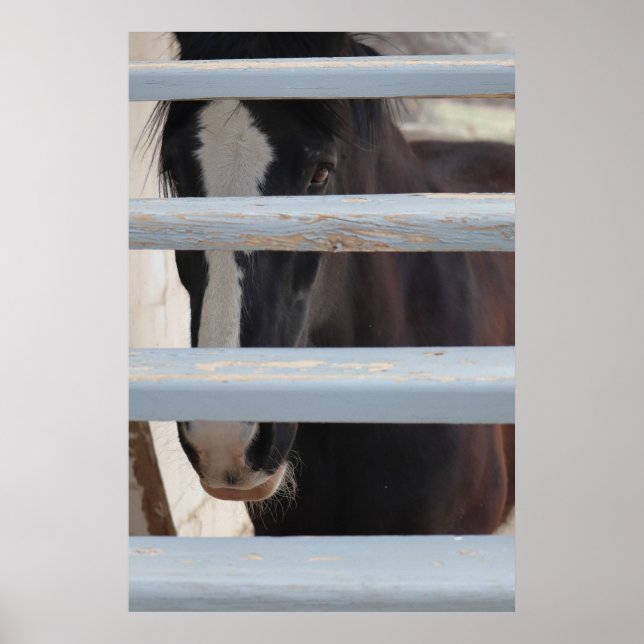 Print, Value Poster Paper (Semi-Gloss) (Front)