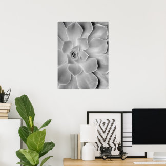 Printable Black and White Cactus Wall Art