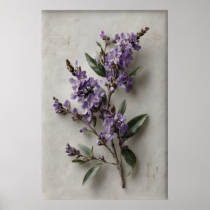 Printable Dampiera Wall Art, Antique Flower Spring Poster