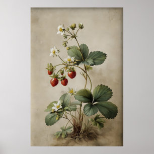 Printable Strawberry Berry Wall Art, Antique Poster