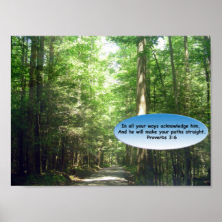 Prints & Posters: Path though the Forest