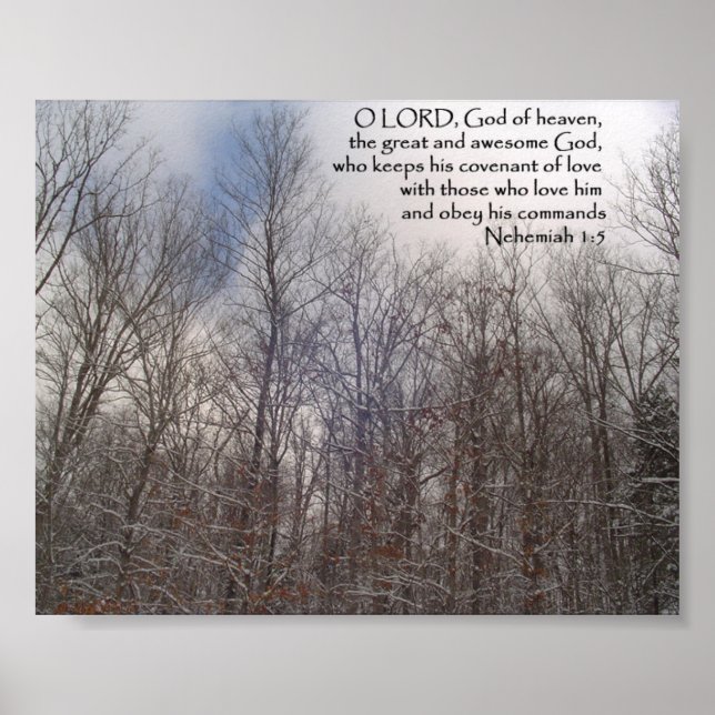 Prints & Posters: Snowy Trees (Front)