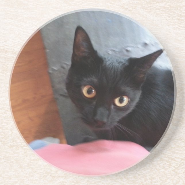 Priscilla cat coaster (Front)