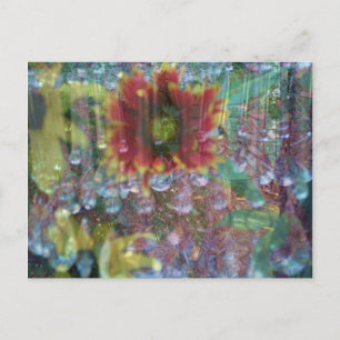 Prism flowers postcard