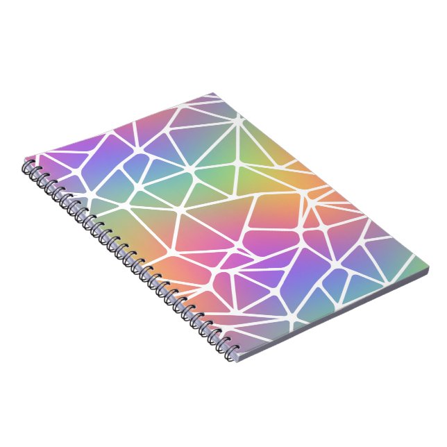 prism synapse net - rainbow web : notebook (Right Side)