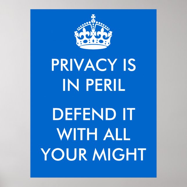 Privacy is in Peril Poster (Front)