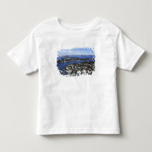 Private Island homes of Biscayne Bay, Star Toddler T-Shirt