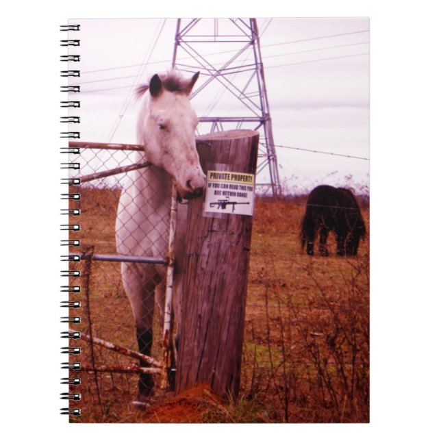 Private Property lavender Horse Spiral Notebook (Front)
