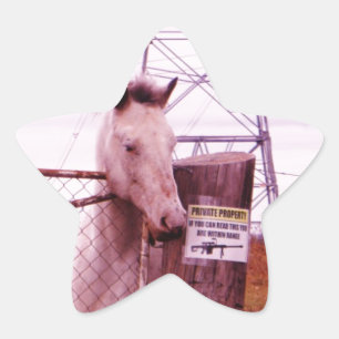 Private Property lavender Horse Star Sticker