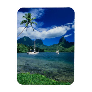 Private yachts anchored in Opunohu Bay on the Magnet
