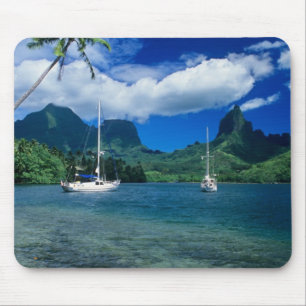 Private yachts anchored in Opunohu Bay on the Mouse Pad