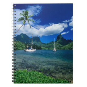 Private yachts anchored in Opunohu Bay on the Spiral Notebook