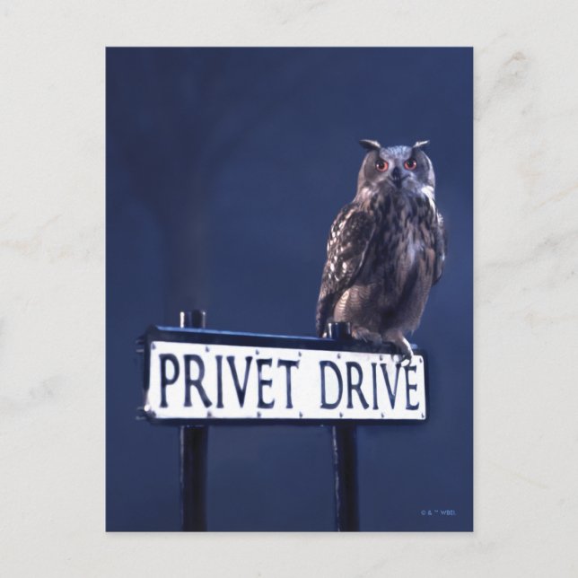 Privet Drive Postcard (Front)