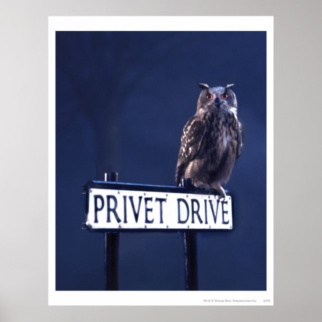 Privet Drive Poster (Front)