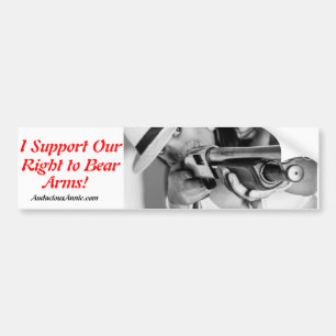 PRO 2A Bumber Sticker