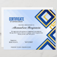 pro Achievement Appreciate Certificate