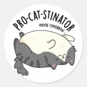 Pro-cat-stinator Funny Fat Cat Pun Classic Round Sticker