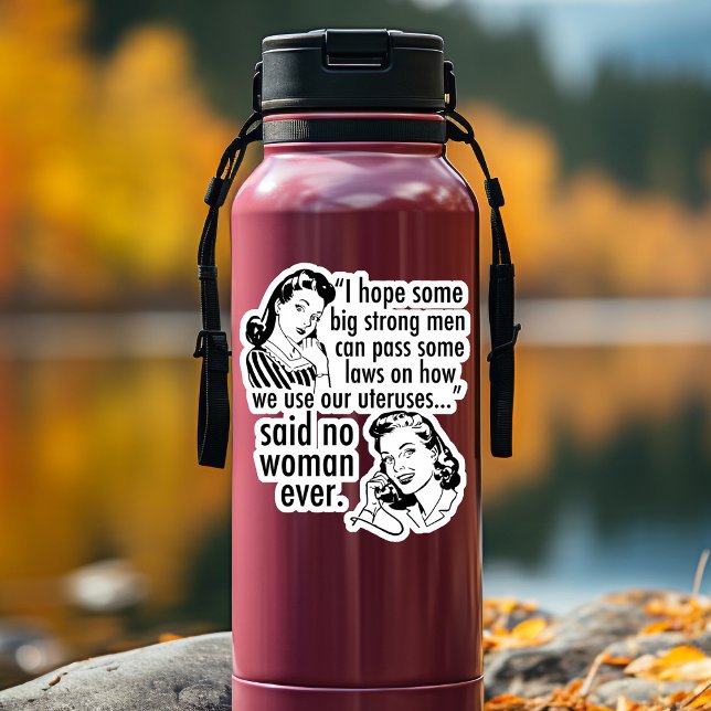 Pro Choice Humour Retro Political Cartoon Feminist (Creator Uploaded)