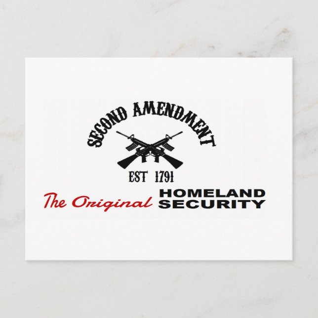 PRO GUN: ORIGINAL HOMELAND SECURITY 2nd AMENDMENT Postcard (Front)
