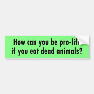 pro-life bumper sticker