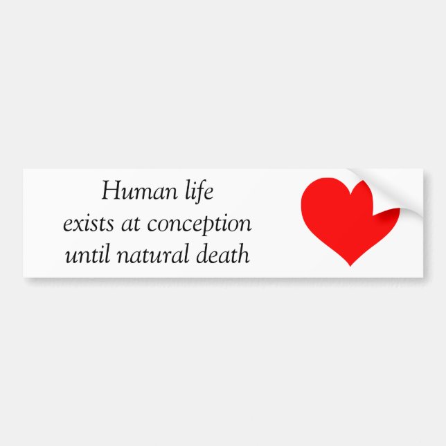 Pro-life Bumper Sticker (Front)