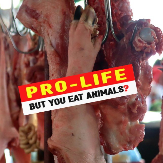 Pro-Life But You Eat Animals?,  Bumper Sticker (Creator Uploaded)