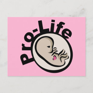 Pro-Life Foetus Design Postcard