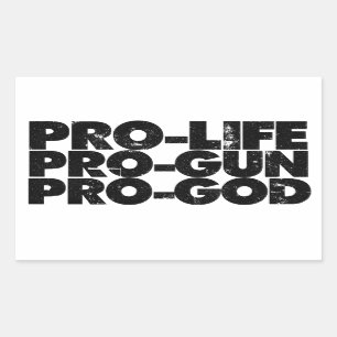 Pro-life Pro-gun Pro-god Rectangular Sticker