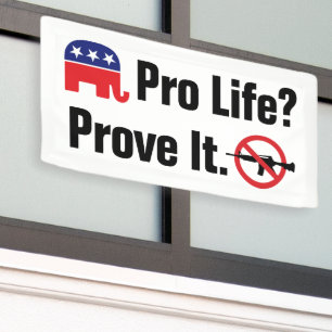 Pro Life? Prove It - Ban Assault Weapons Banner