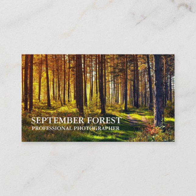 Pro Photography (Forest) Business Card (Front)