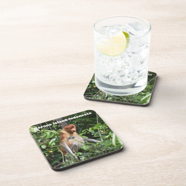 Proboscis Monkey Borneo Coaster (Right Side)