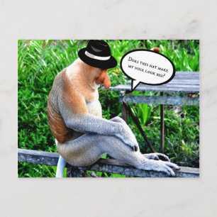 Proboscis Monkey-Does hat make my nose look big? Postcard