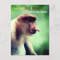 Proboscis monkey with big nose