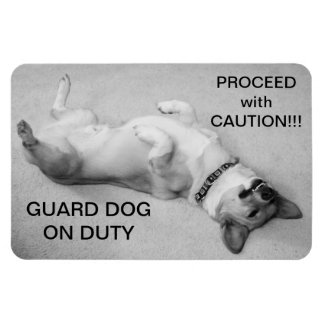 Proceed with Caution Magnet