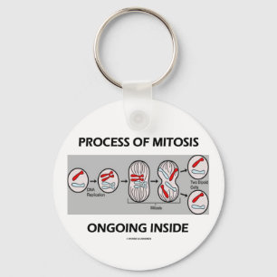 Process Of Mitosis Ongoing Inside Key Ring