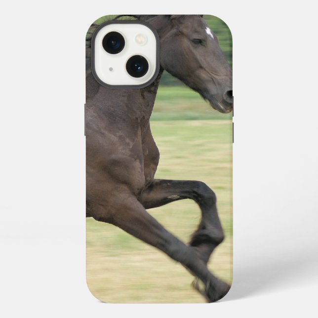 Product iPhone Case (Back)