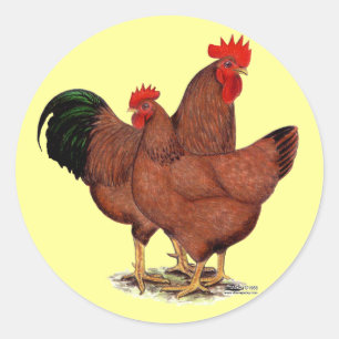 Production Red Chickens Classic Round Sticker