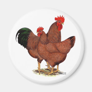 Production Red Chickens Magnet