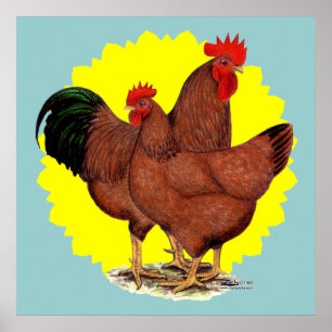 Production Red Sunburst Poster