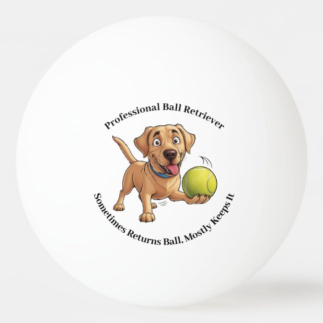 Professional Ball Retriever Ping Pong Ball (Front)