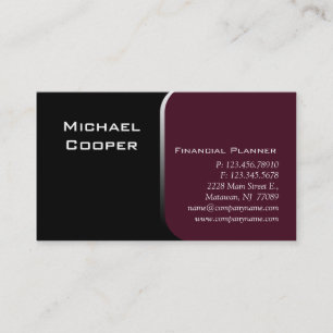 Professional Business Card Financial Planner