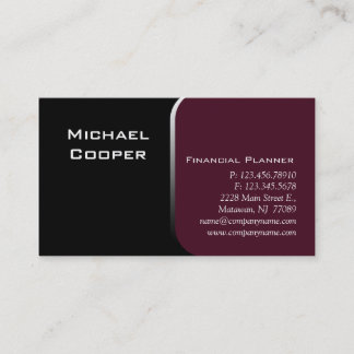 Professional Business Card Financial Planner