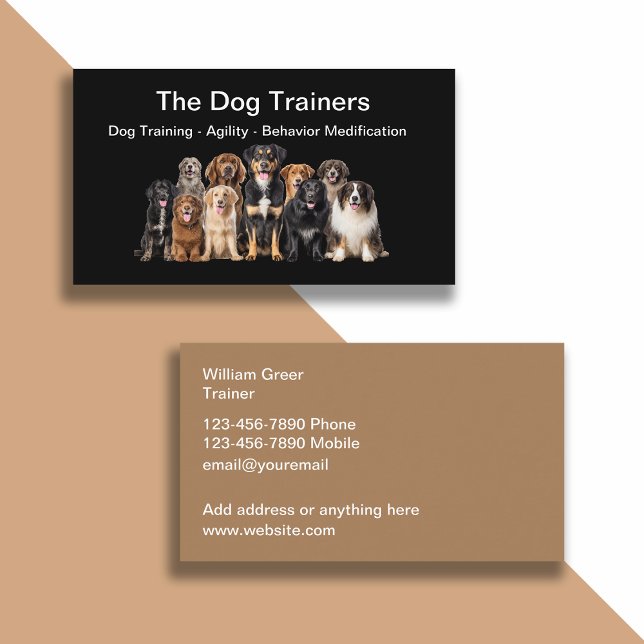 Professional Dog Training Business Cards (Creator Uploaded)